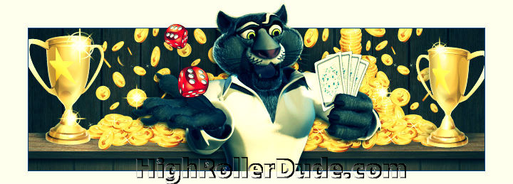 Choose High Roller Casinos